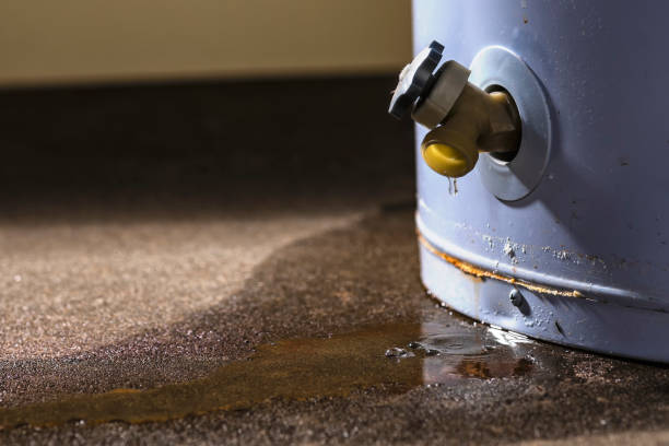 Best Carpet water damage restoration  in Weedpatch, CA