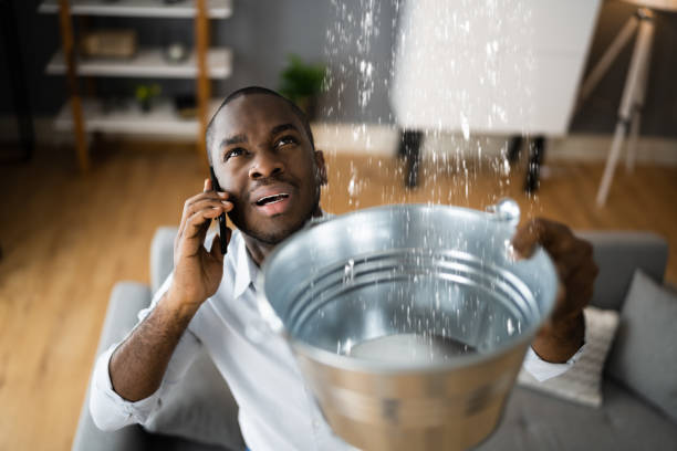 Best Mold removal after water damage  in Weedpatch, CA