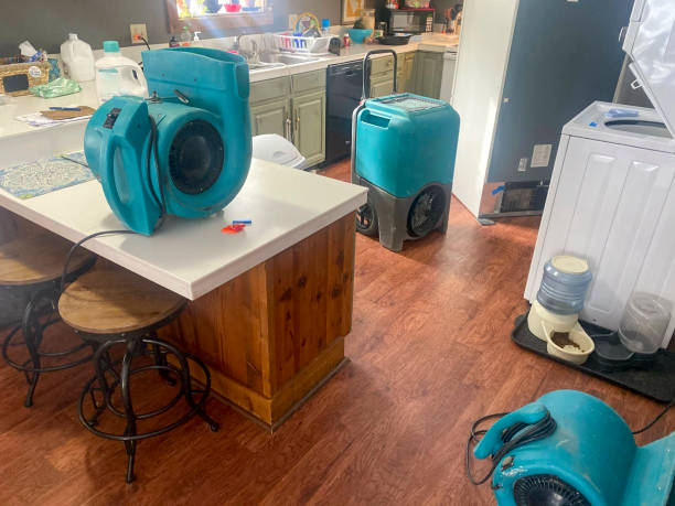  Weedpatch, CA Water damage restoration Pros