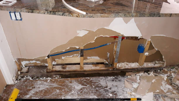 Best Water damage restoration process  in Weedpatch, CA