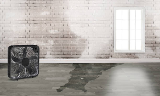 Local water damage restoration in Weedpatch, CA
