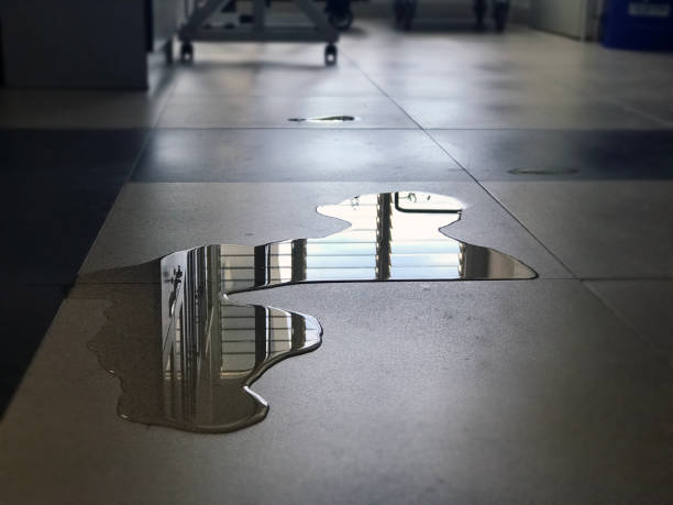 Best Commercial water damage restoration  in Weedpatch, CA