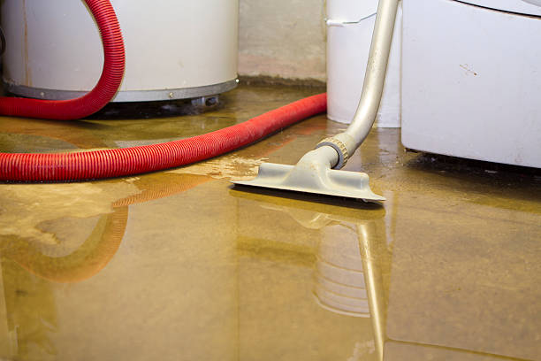 Best Water damage cleanup near me  in Weedpatch, CA