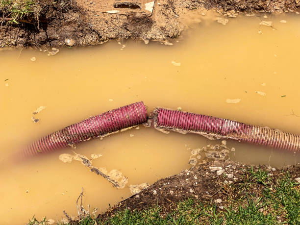 Best 24-hour water damage restoration  in Weedpatch, CA
