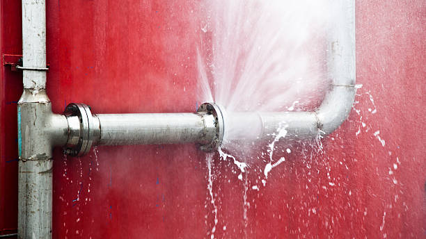 Trusted Weedpatch, CA Water damage restoration Experts