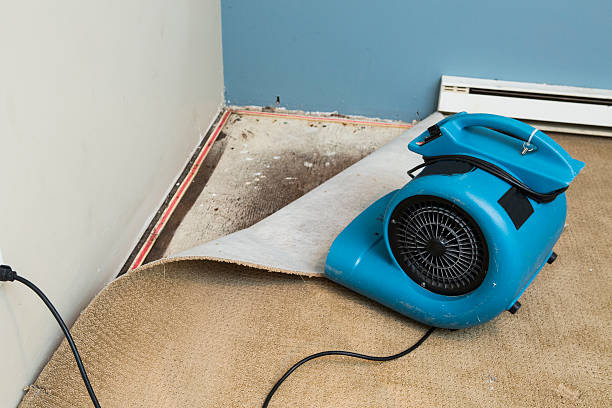 Best Ceiling water damage repair  in Weedpatch, CA